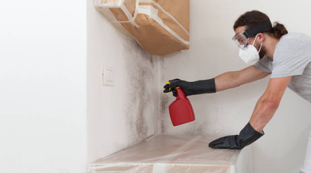 Professional Mold Remediation technician working in Lake Grove, NY